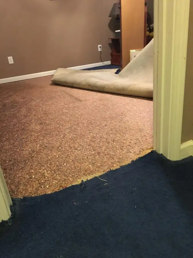 Carpet pad removal revealing water damage during Water Mitigation Services in Soddy-Daisy